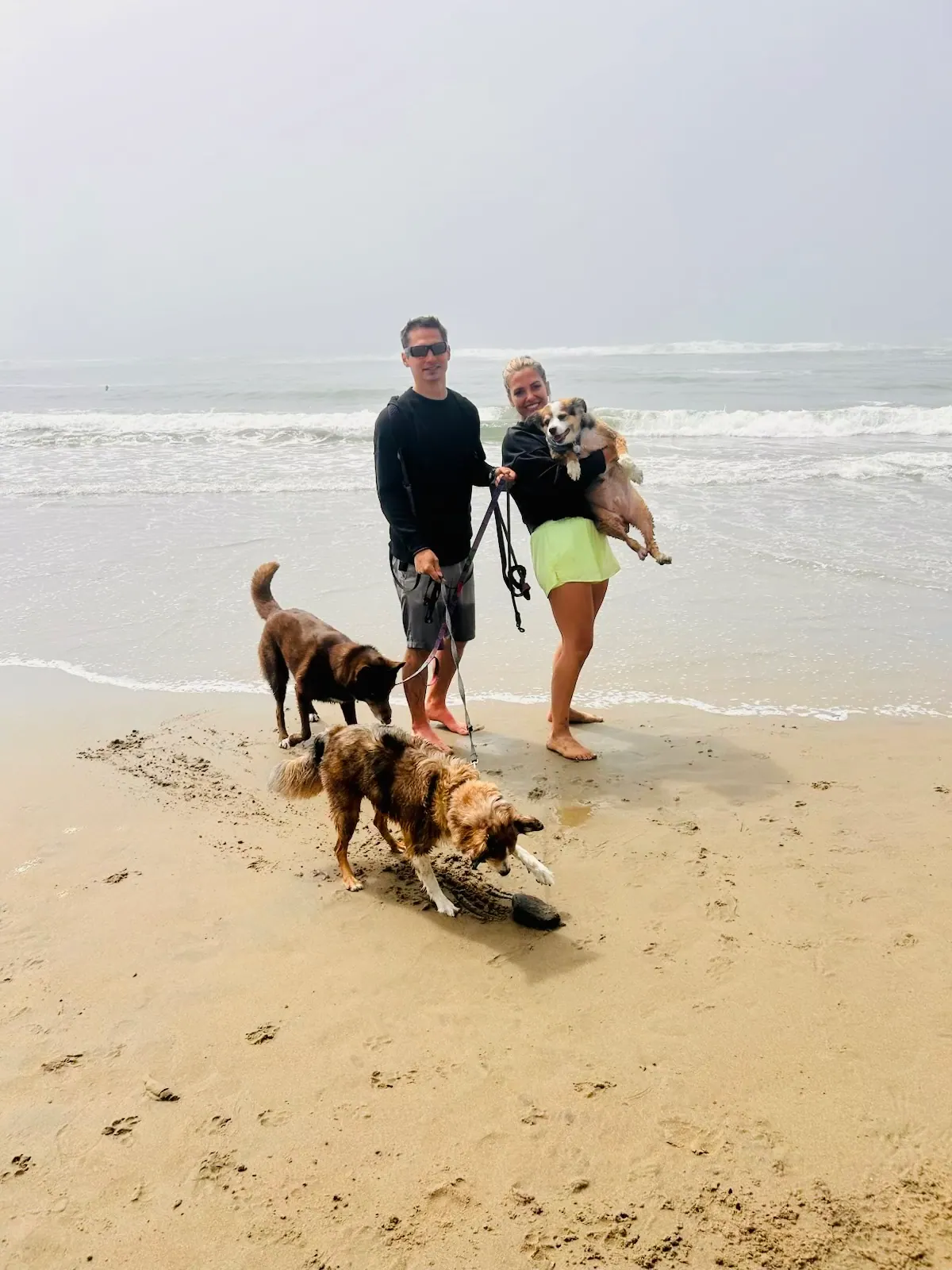 Olivia and her fiancé spending time at the beach with their three dogs